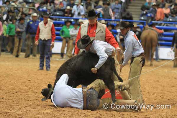 Ranch Rodeo Finals, WRCA, 11-08-14 - Photo 43