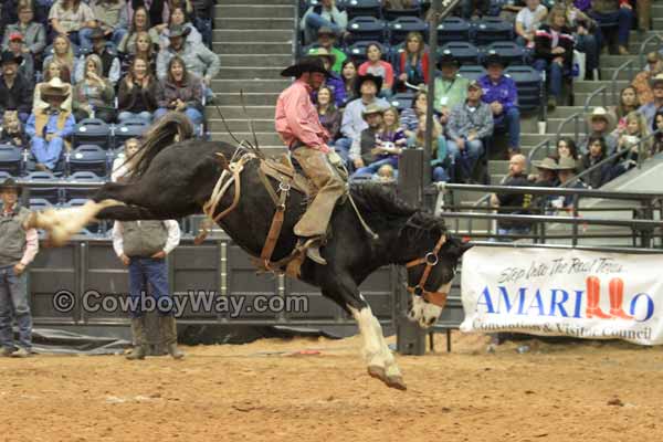 Tyler Bridges from Texas rides a ranch bronc