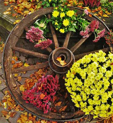 A wagon wheel near flowers being used for yard decor