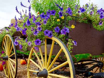 A wagon with painted wheels being used as decoration