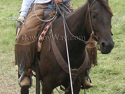 Western pulling breast collar