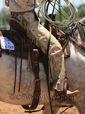 Tan shotgun chaps on a woman