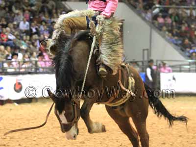 Wooly chaps on a bronc rider