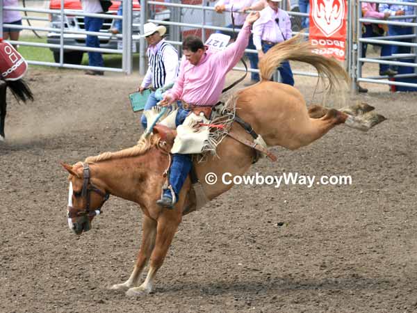 Current cowboy photo of the day