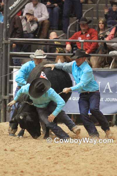 Current cowboy photo of the day