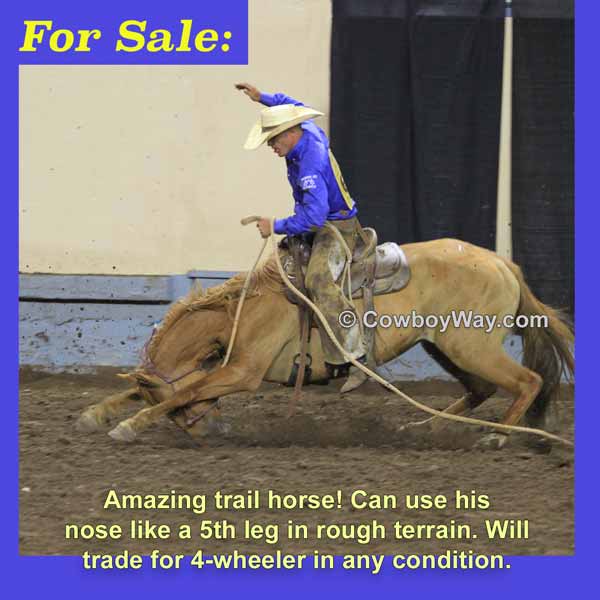 Current cowboy photo of the day