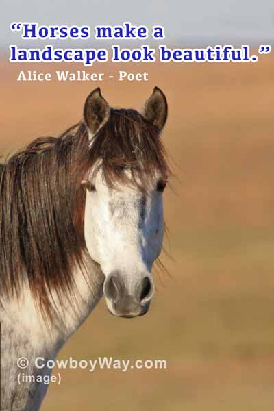 Current cowboy photo of the day