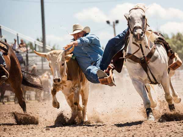 A random photo of the day featuring cowgirls or cowboys