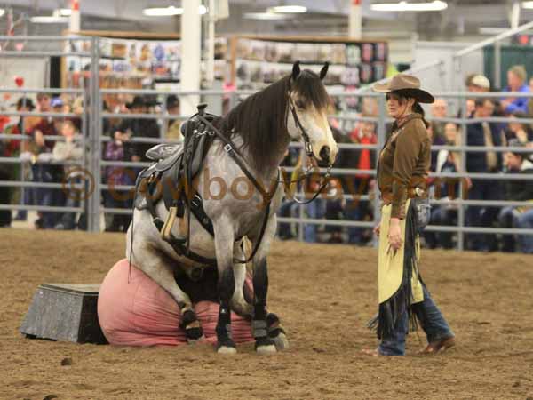 A random photo of the day featuring cowgirls or cowboys