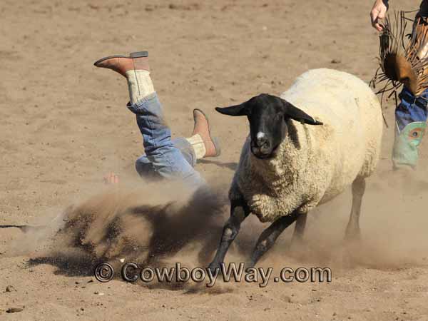 A random photo of the day featuring cowgirls or cowboys