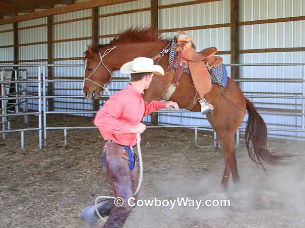 Current cowboy photo of the day