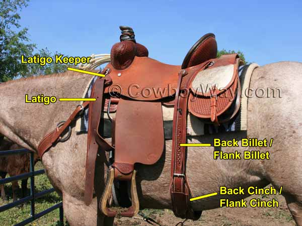 Saddle info with continued illustrated information of parts of a Western saddle