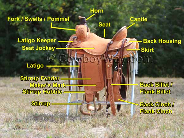 Saddle information illustrating the parts of a Western saddle
