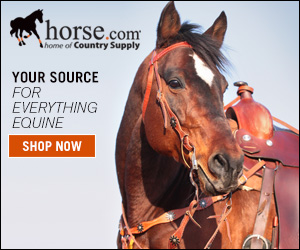 Horse .com Logo