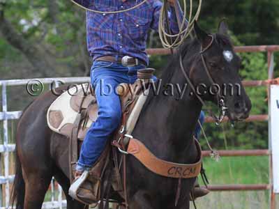 A 5 Star saddle pad in natural color