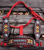 A beaded horse halter