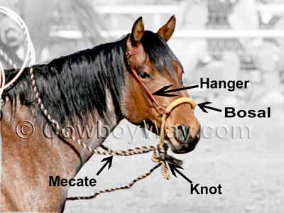 A horse bosal showing 
the mecate, hanger, and bosal