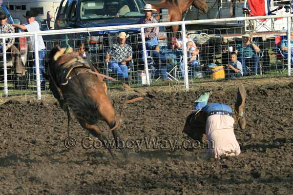 A bronc rider gets bucked off and lands with his head in the dirt