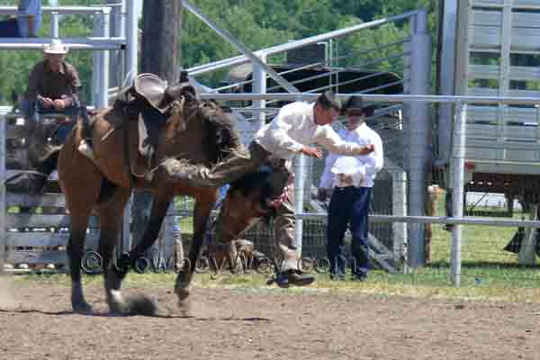 A bronc rider straddles the bronc's neck