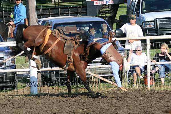 A bronc rider getting bucked off