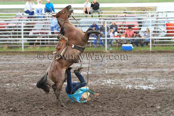 A horse acts like a bronc and throws its rider