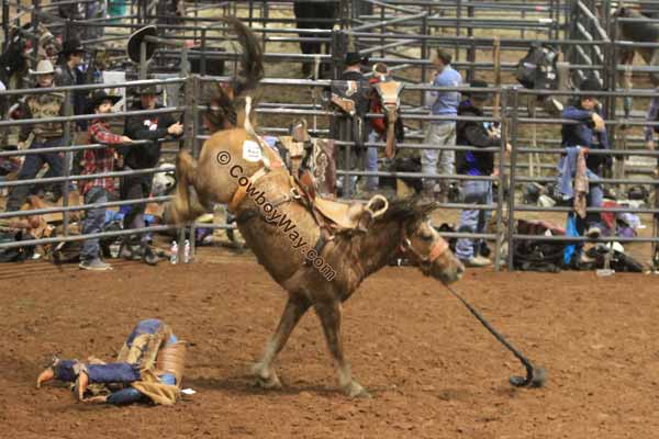 A bronc rider lands with his head buried in the dirt after getting bucked off