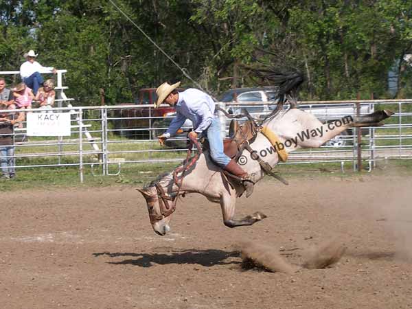 A bucking bronc avoids a wreck