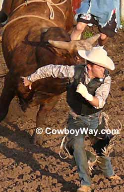 A bull riding vest helps protect bull riders from injury
