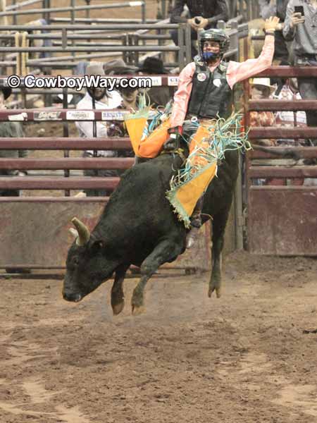 A bull rider rides a bull as it jumps into the air