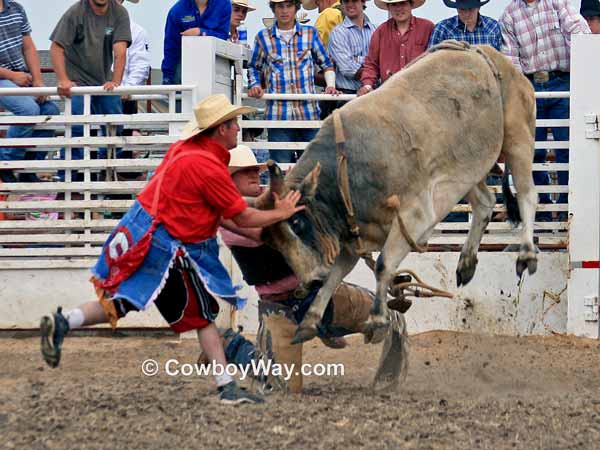 A bull fighter helps a bull rider in a wreck