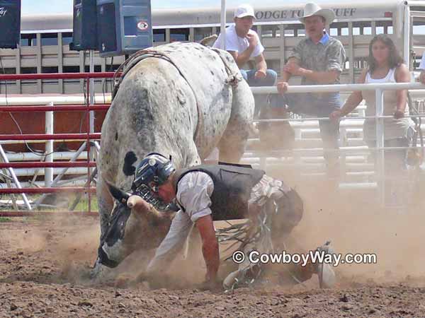 A bull rider getting a horn in his helmet's face mask