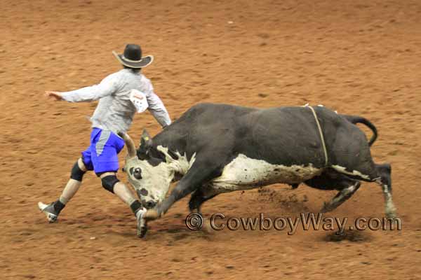 A bullfighter moves in close to a bull's head