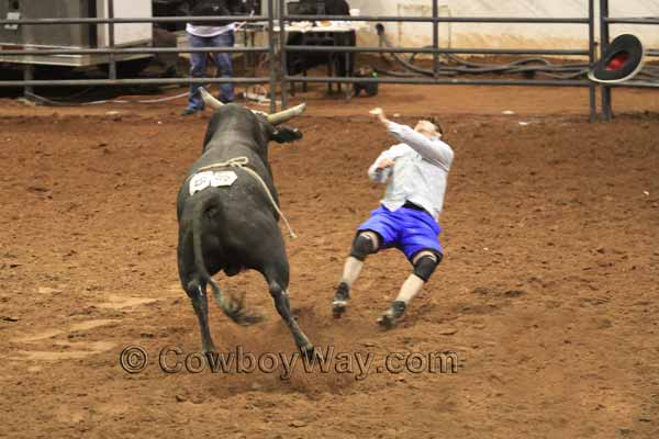 A bull knocks a bullfighter through the air