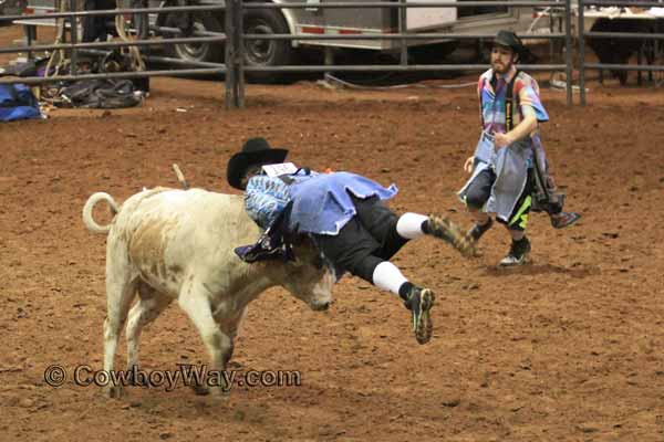 A rodeo bullfighter gets picked up by a bull's horns