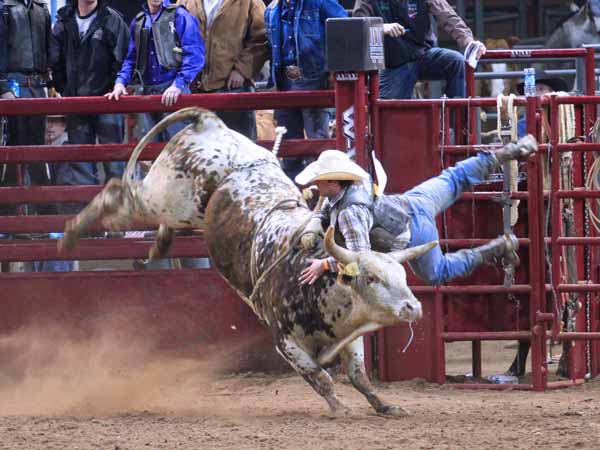 A bull rider can't get clear of a bucking bull