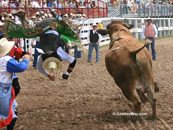A bull rider upside down in the air