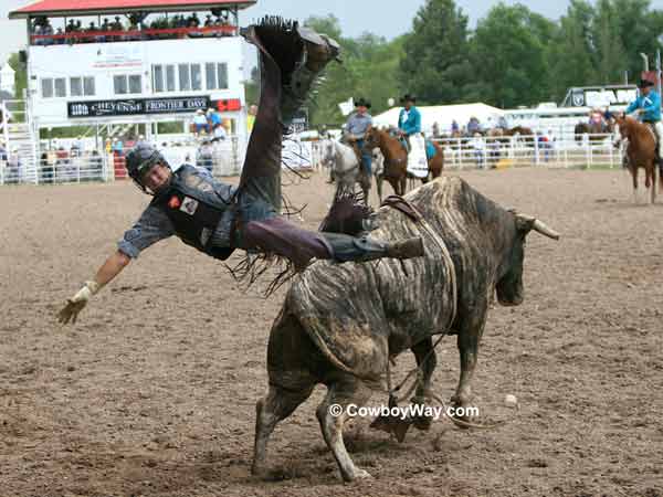 A bull rider gets bucked off