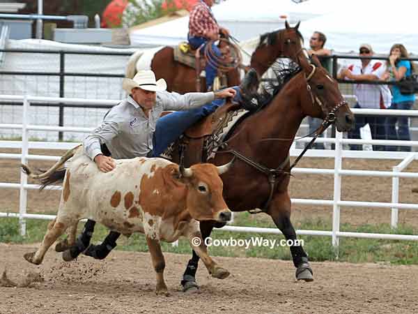 Steer wrestling at the Cheyenne Frontier Days Rodeo