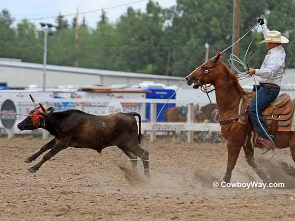 Team roping heeler Ryan Motes