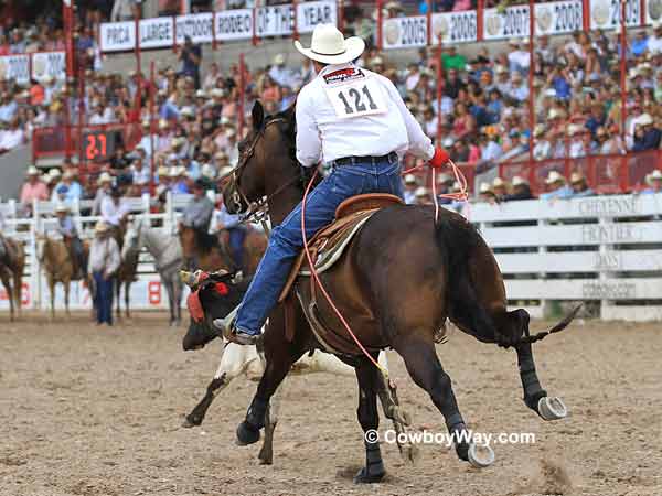 Rope under a horse's tail