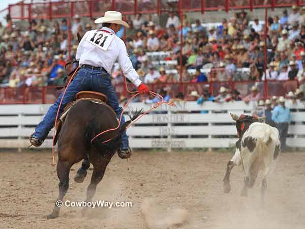 Getting a rope out from underneath a horse's tail