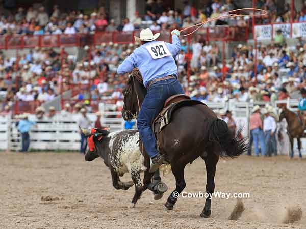 Team roping at Cheyenne Frontier Days