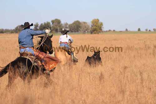 CRCM Pasture Roping, 11-07-15 - Photo 07