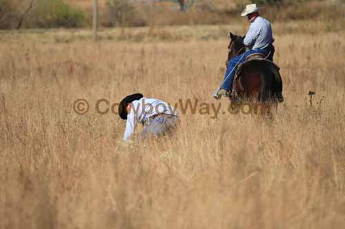 CRCM Pasture Roping, 11-07-15 - Photo 12