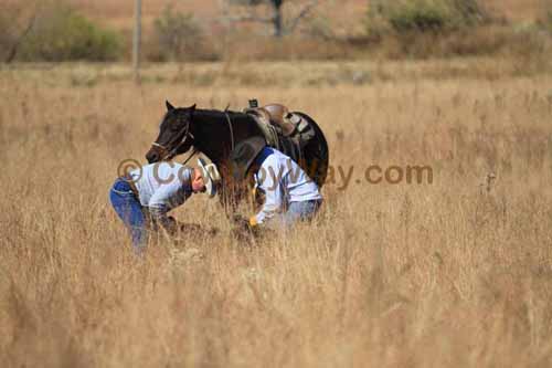 CRCM Pasture Roping, 11-07-15 - Photo 13