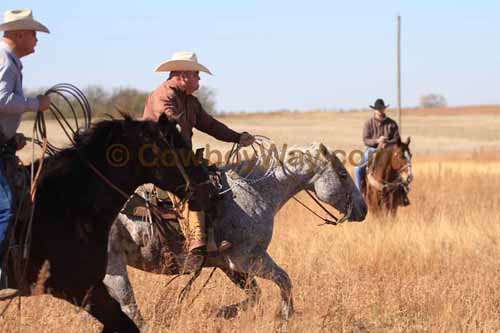 CRCM Pasture Roping, 11-07-15 - Photo 18