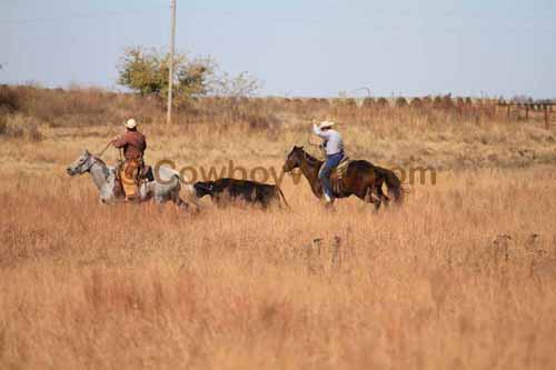 CRCM Pasture Roping, 11-07-15 - Photo 19
