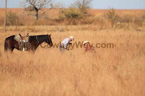 CRCM Pasture Roping, 11-07-15 - Photo 22