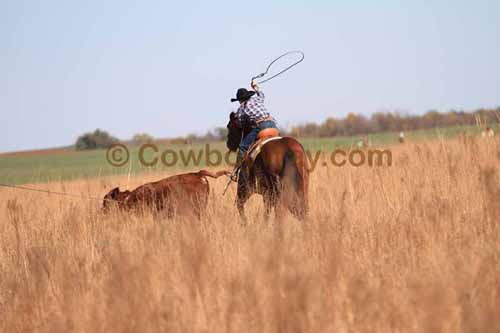 CRCM Pasture Roping, 11-07-15 - Photo 25