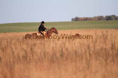 CRCM Pasture Roping, 11-07-15 - Photo 26